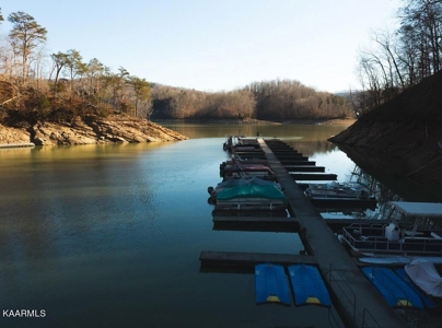 Prime 3-acre Wooded Lot in Lone Mountain Shores - image 38