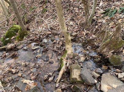 Prime 3-acre Wooded Lot in Lone Mountain Shores - image 9