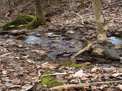 Prime 3-acre Wooded Lot in Lone Mountain Shores - image 13