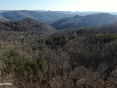 Prime 3-acre Wooded Lot in Lone Mountain Shores - image 19