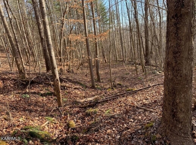 Prime 3-acre Wooded Lot in Lone Mountain Shores - image 1