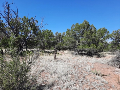 Beautiful off grid mountain property - image 8