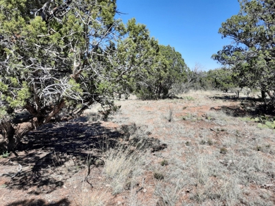 Beautiful off grid mountain property - image 7