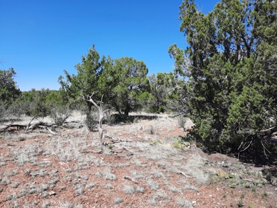 Beautiful off grid mountain property - image 2