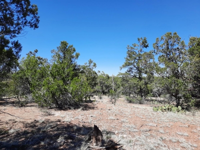 Beautiful off grid mountain property - image 4