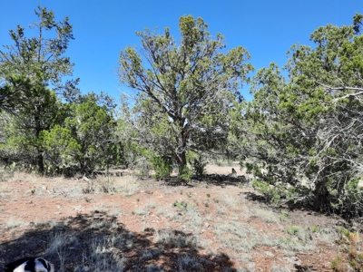 Beautiful off grid mountain property - image 3