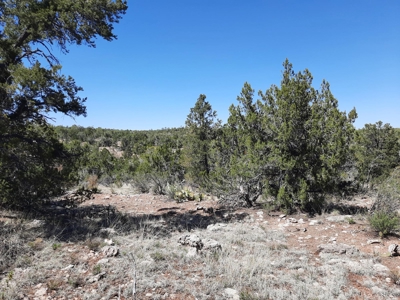 Beautiful off grid mountain property - image 1