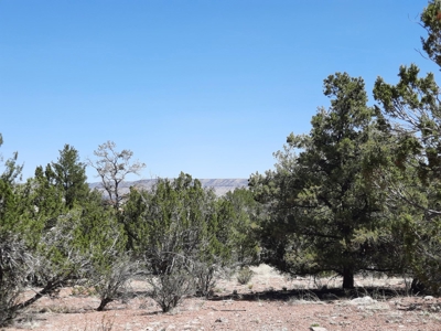 This secluded off grid property has unbelievable views! - image 4