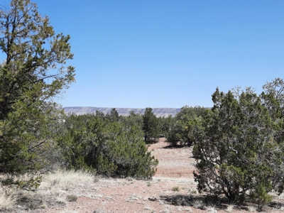 This secluded off grid property has unbelievable views! - image 1