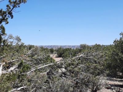 This secluded off grid property has unbelievable views! - image 3