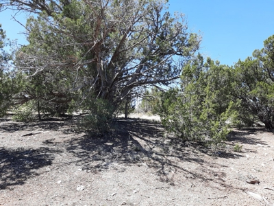 This secluded off grid property has unbelievable views! - image 8