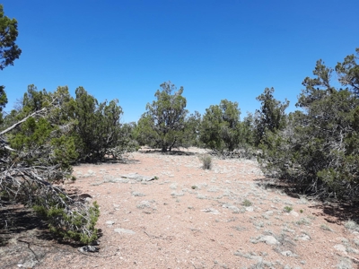This secluded off grid property has unbelievable views! - image 2