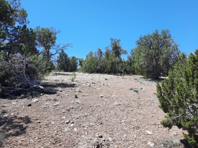 This secluded off grid property has unbelievable views! - image 7
