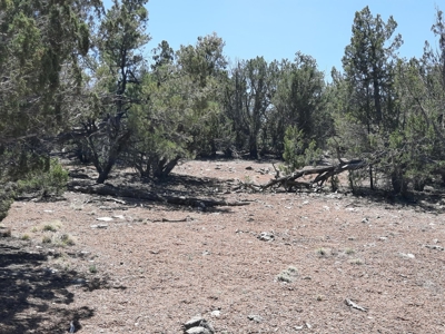 This secluded off grid property has unbelievable views! - image 6