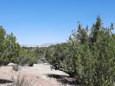 This secluded off grid property has unbelievable views! - image 9