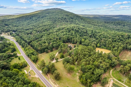 Piedmont MO Country Home and Land for sale - image 9