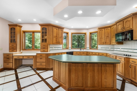 Piedmont MO Country Home and Land for sale - image 16