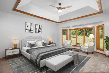 Piedmont MO Country Home and Land for sale - image 6