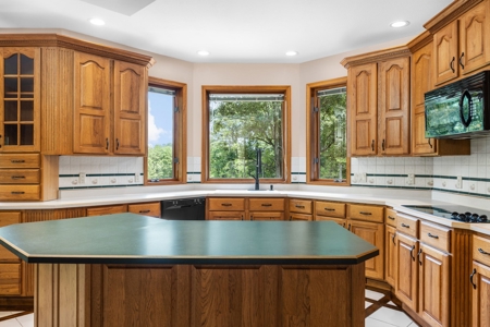 Piedmont MO Country Home and Land for sale - image 27