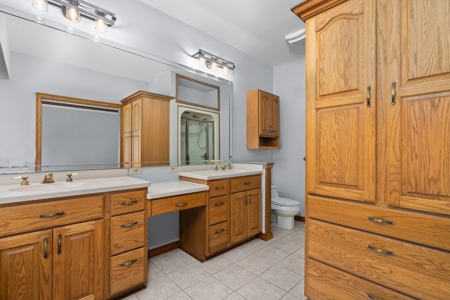 Piedmont MO Country Home and Land for sale - image 19