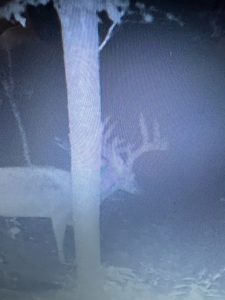 220 acres Northeast MO Combo Hunting Farm - image 4