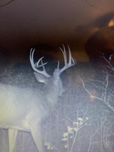 220 acres Northeast MO Combo Hunting Farm - image 3