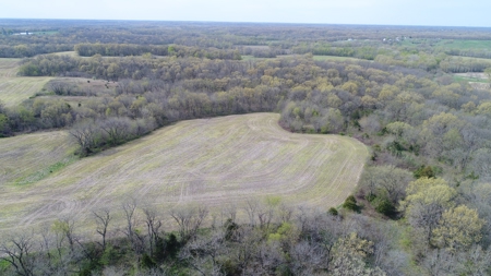 220 acres Northeast MO Combo Hunting Farm - image 19