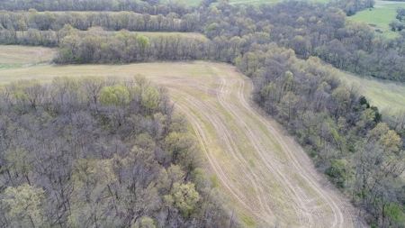 220 acres Northeast MO Combo Hunting Farm - image 31