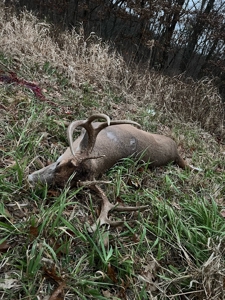 220 acres Northeast MO Combo Hunting Farm - image 8