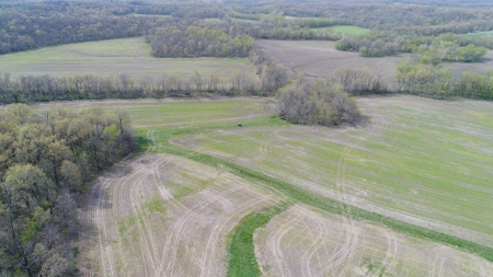 220 acres Northeast MO Combo Hunting Farm - image 28