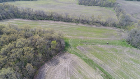 220 acres Northeast MO Combo Hunting Farm - image 29