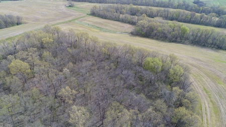 220 acres Northeast MO Combo Hunting Farm - image 32