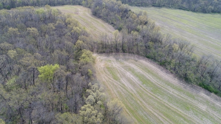 220 acres Northeast MO Combo Hunting Farm - image 30