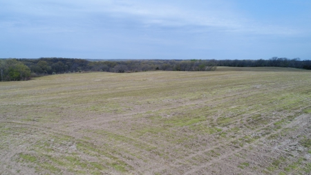 220 acres Northeast MO Combo Hunting Farm - image 10