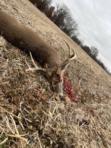 220 acres Northeast MO Combo Hunting Farm - image 9