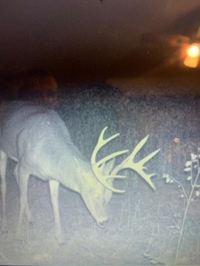 220 acres Northeast MO Combo Hunting Farm - image 1