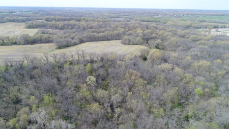 220 acres Northeast MO Combo Hunting Farm - image 18