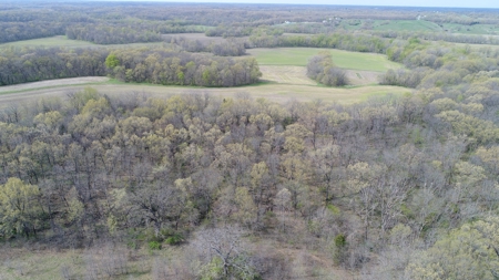 220 acres Northeast MO Combo Hunting Farm - image 24