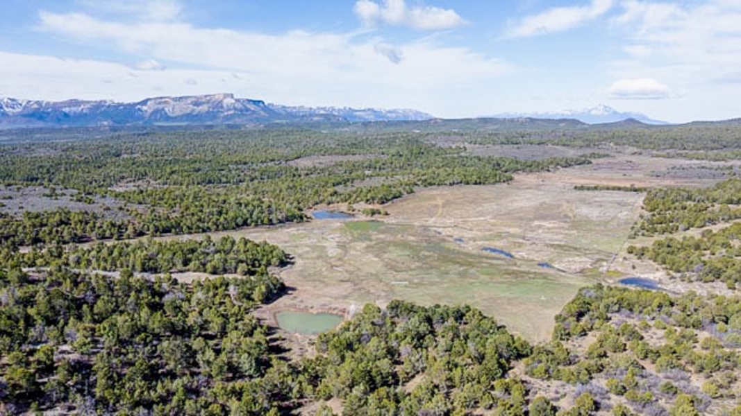 Aerial View of Property