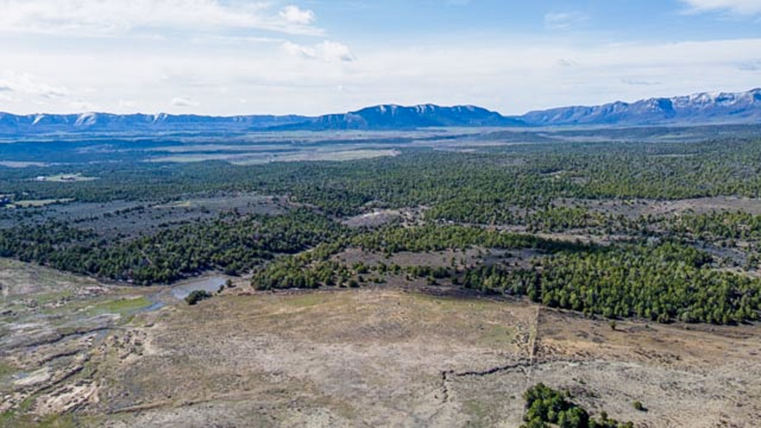 Aerial View of Acreage