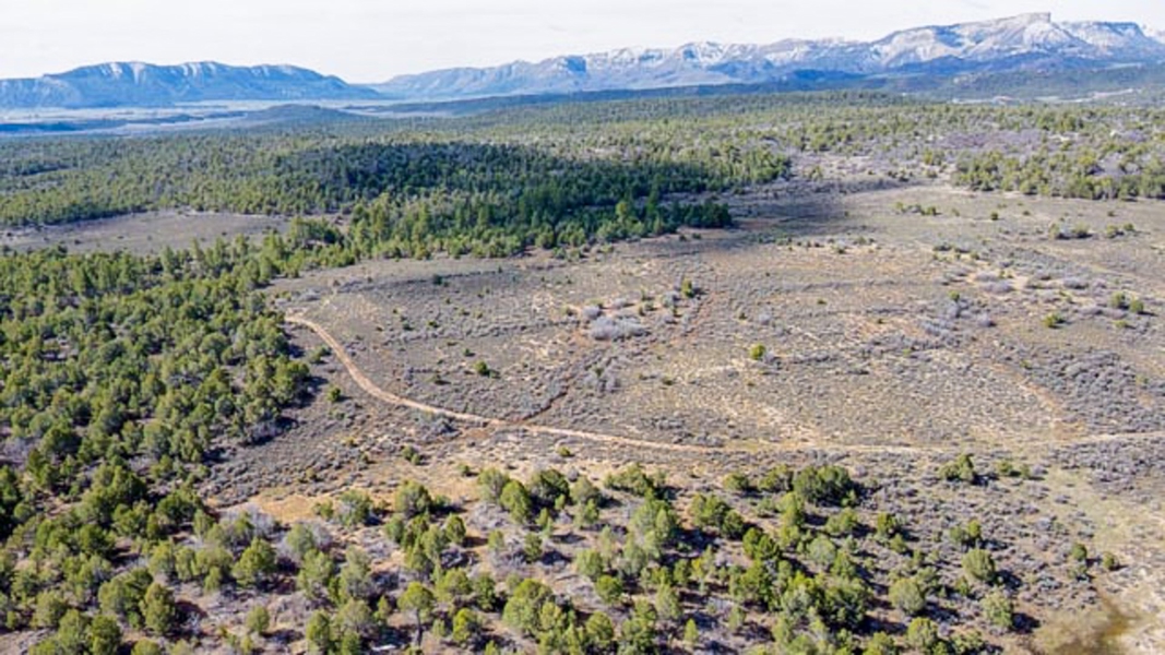 Aerial View of Acreage
