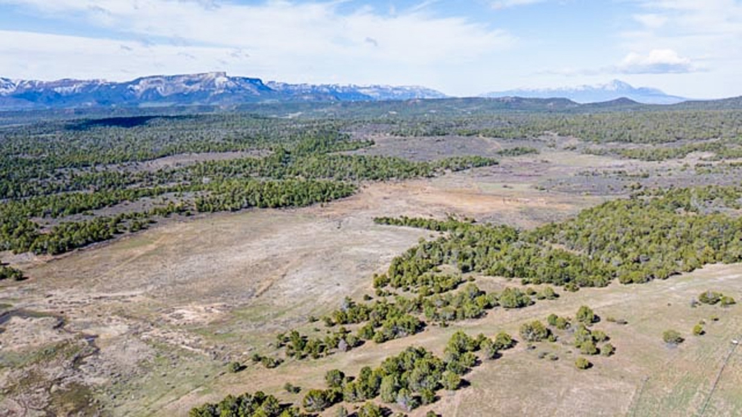 Aerial View of Property