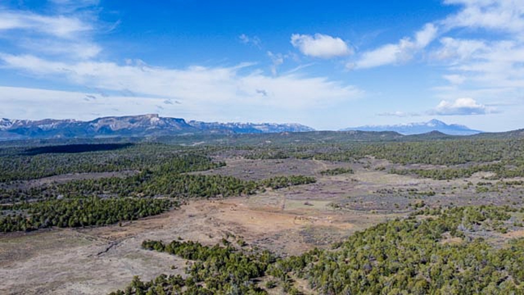 Aerial View of Property