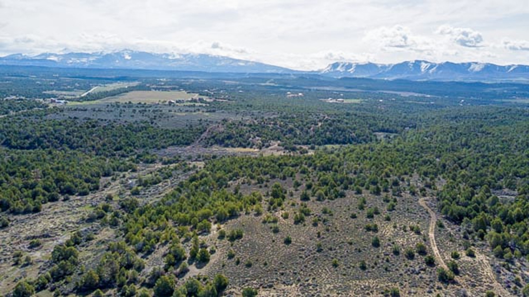 Aerial View of Acreage