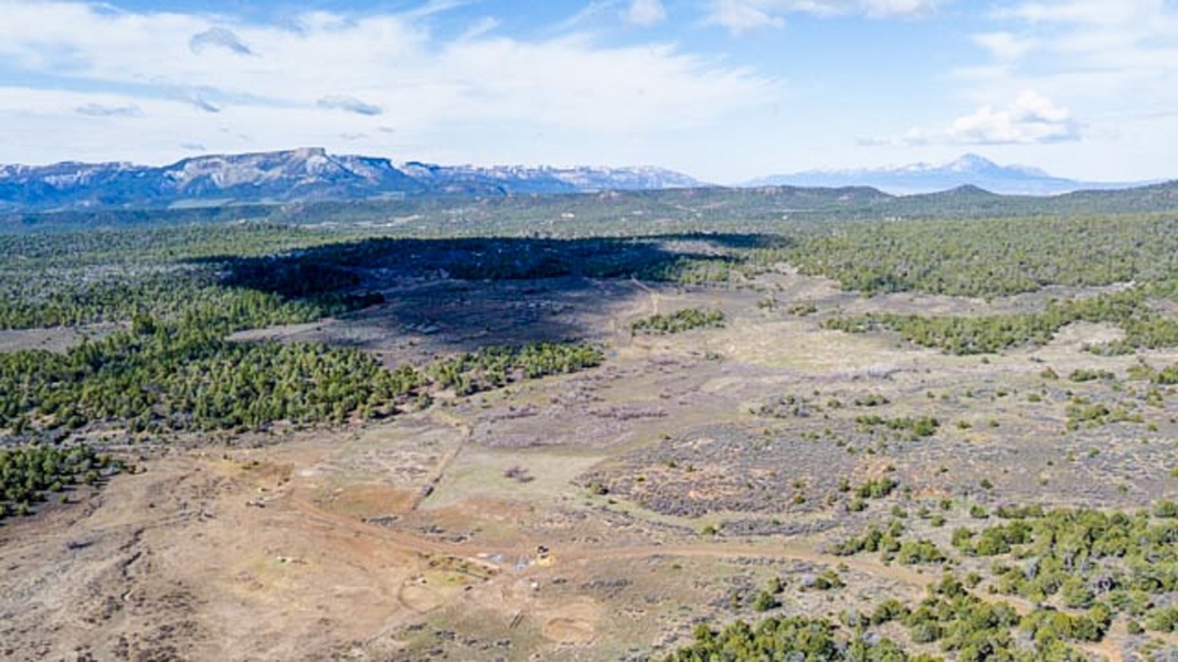 Aerial View of Acreage