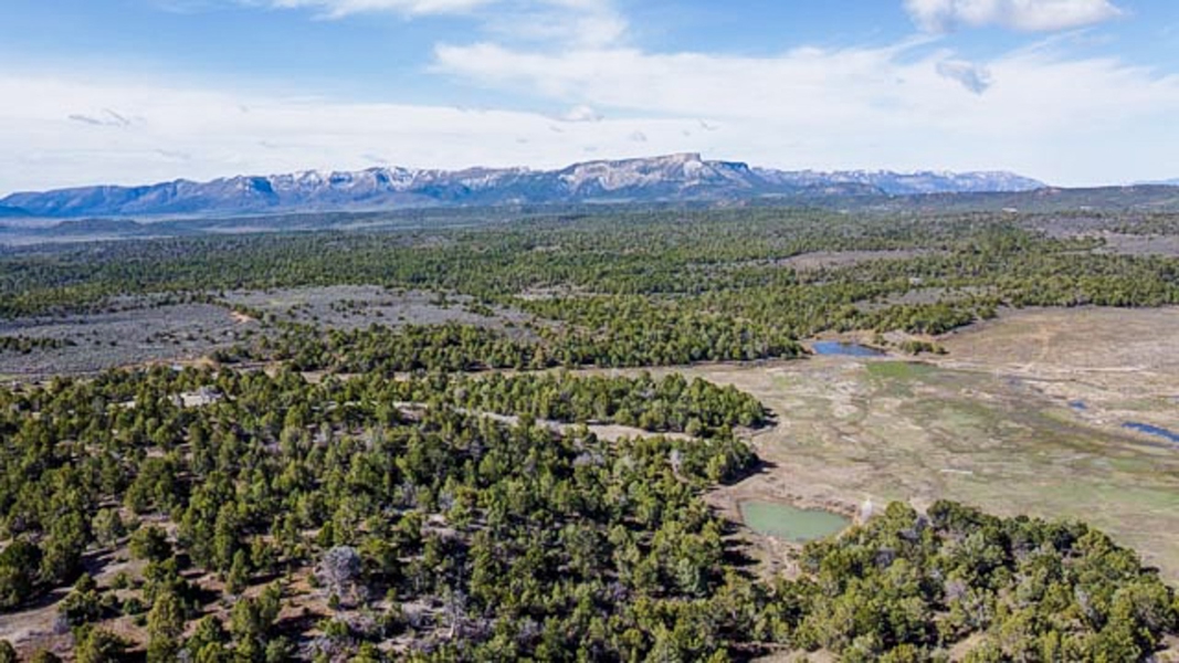 Aerial View of Property