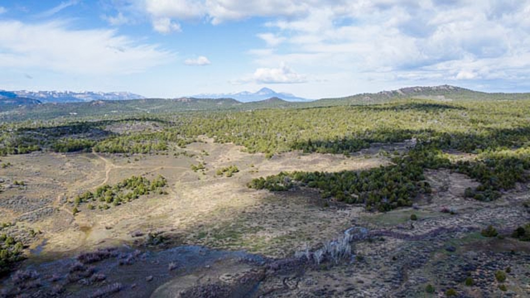 Aerial View of Acreage