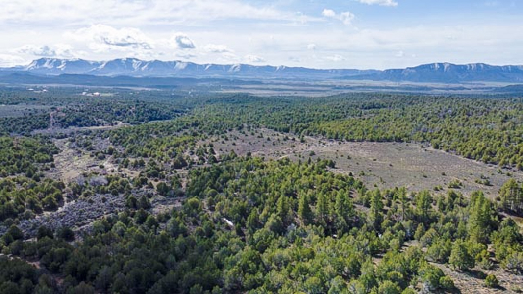 Aerial View of Acreage
