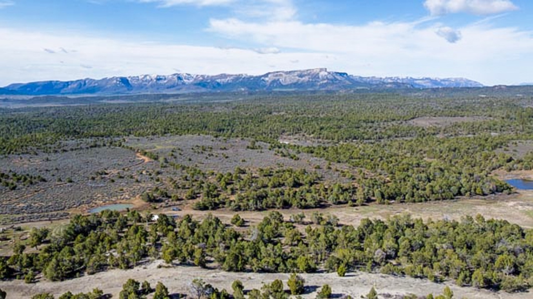Aerial View of Acreage