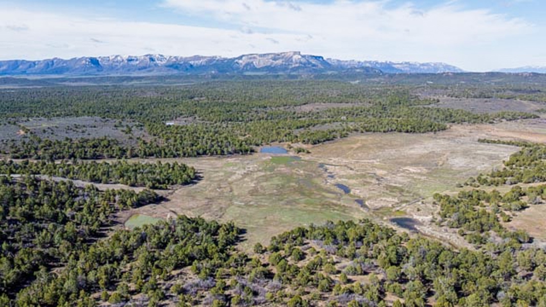 Aerial View of Property